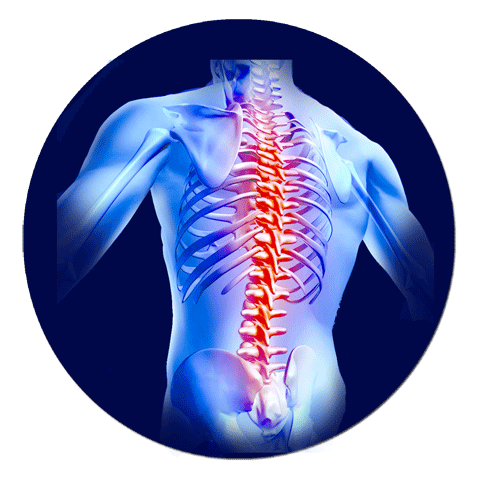3-video Back pain video course