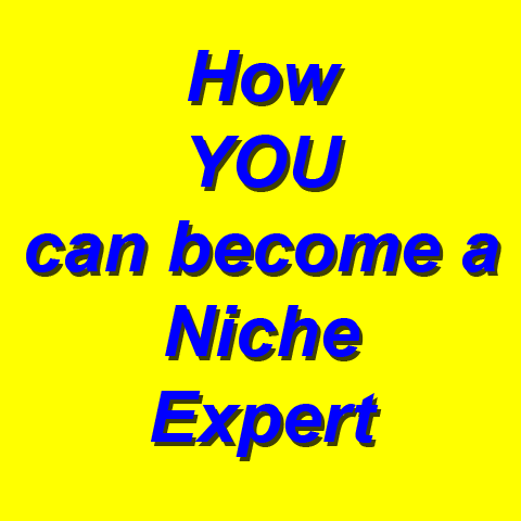 Click here for more details on, How to become recognized as a niche expert