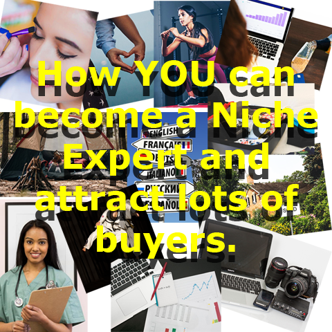 Click here for more details on, How YOU can become a Niche Expert